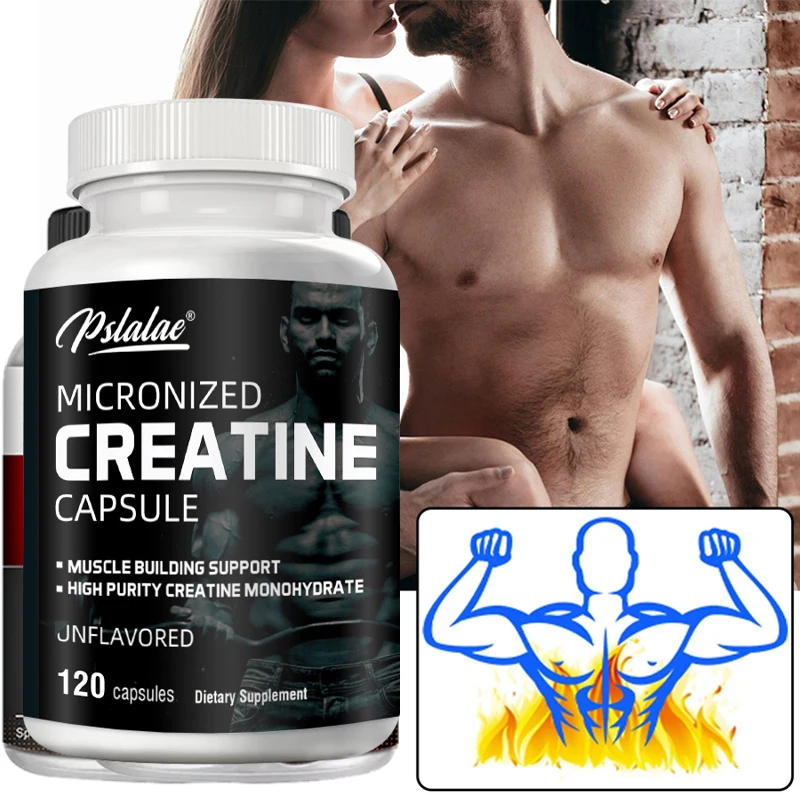 Nutrition Workout - Créatine monohydrate Performance énergétique protéines de