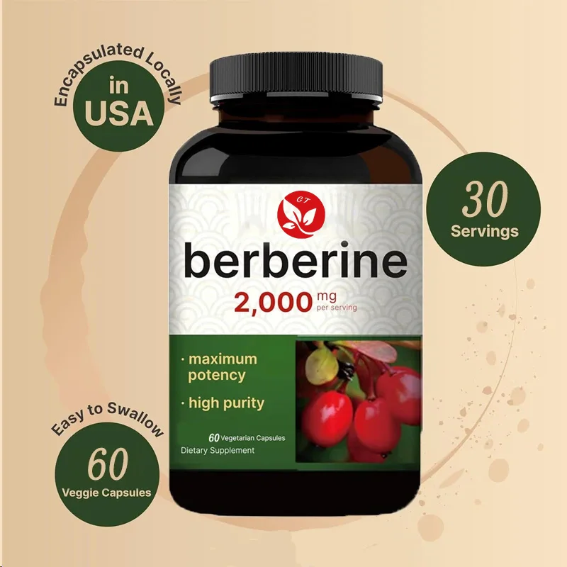 Berberine Hcl Capsule - Supplément Berberine 60 capsules végétariennes, 97%