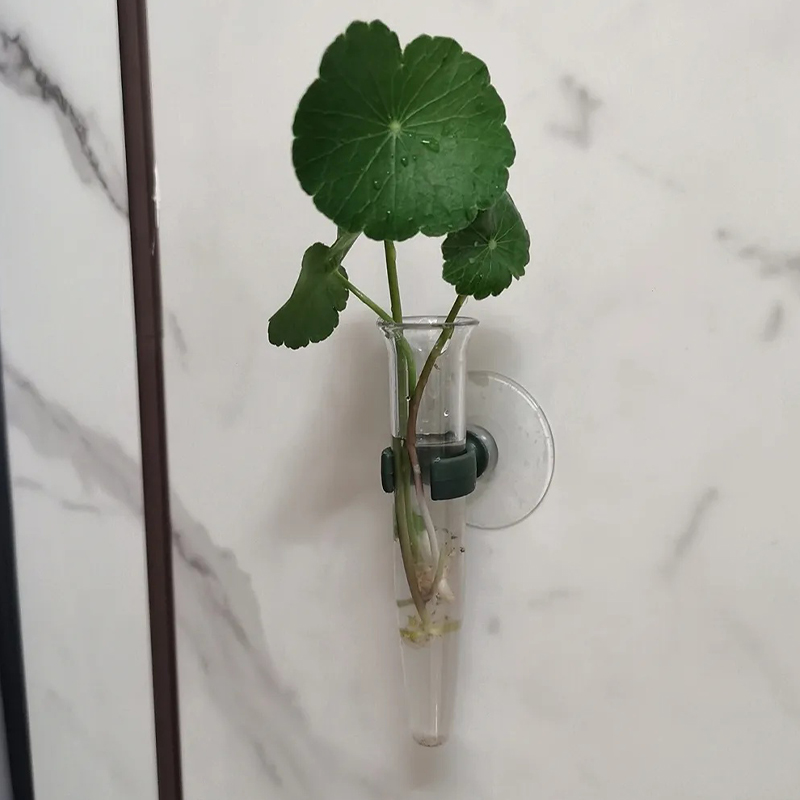Tubes à eau floraux de 11 cm,  - Nutrition & Fitness Station avis et prix