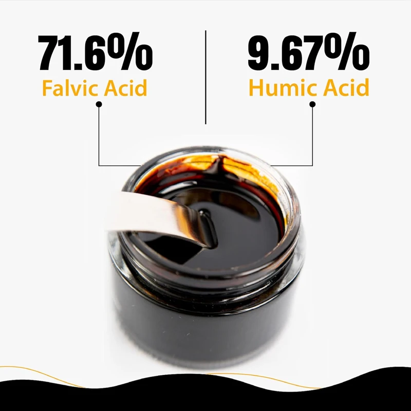 Résine de Shilajit de l'Himala - Shilajit Resin Pure avis et prix