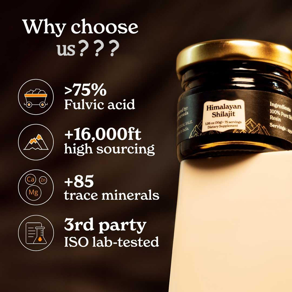 Shilajit himalayen pur, résine - Shilajit Resin Pure avis et prix