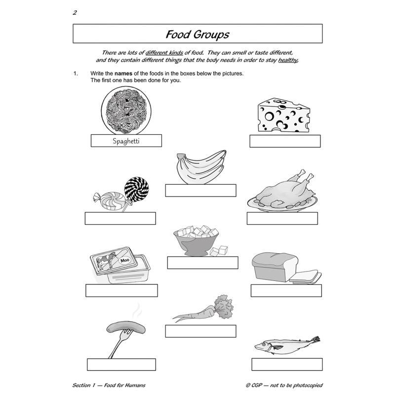KS2 Science Year Three Workout - Nutrition Workout avis et prix