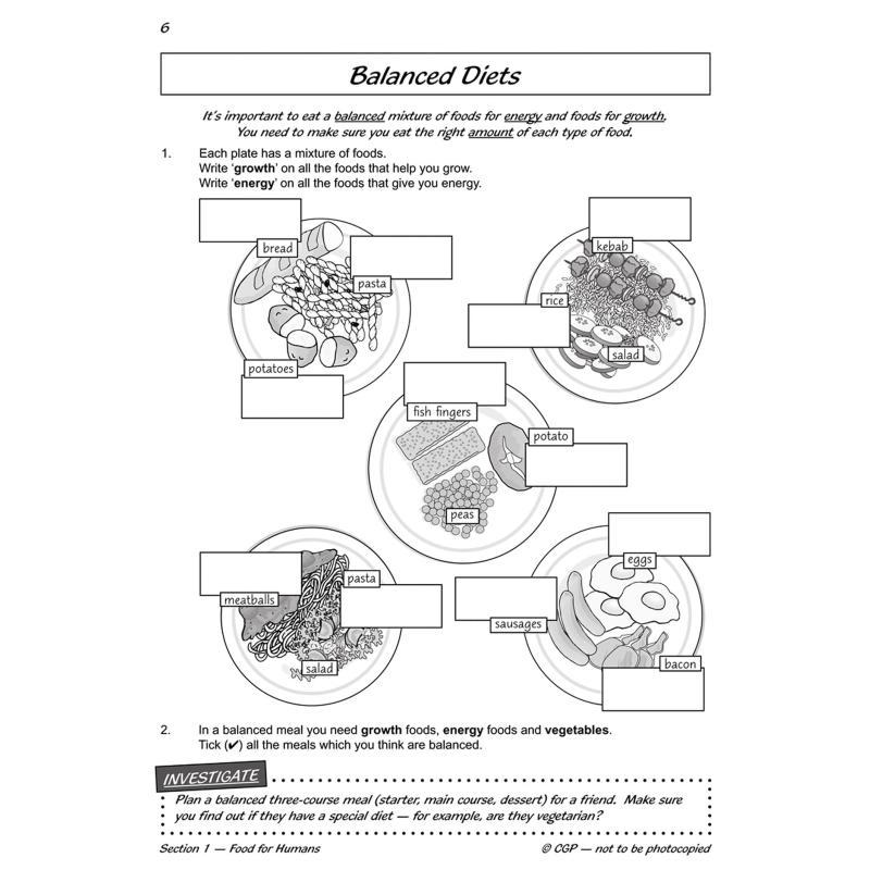 KS2 Science Year Three Workout - Nutrition Workout avis et prix