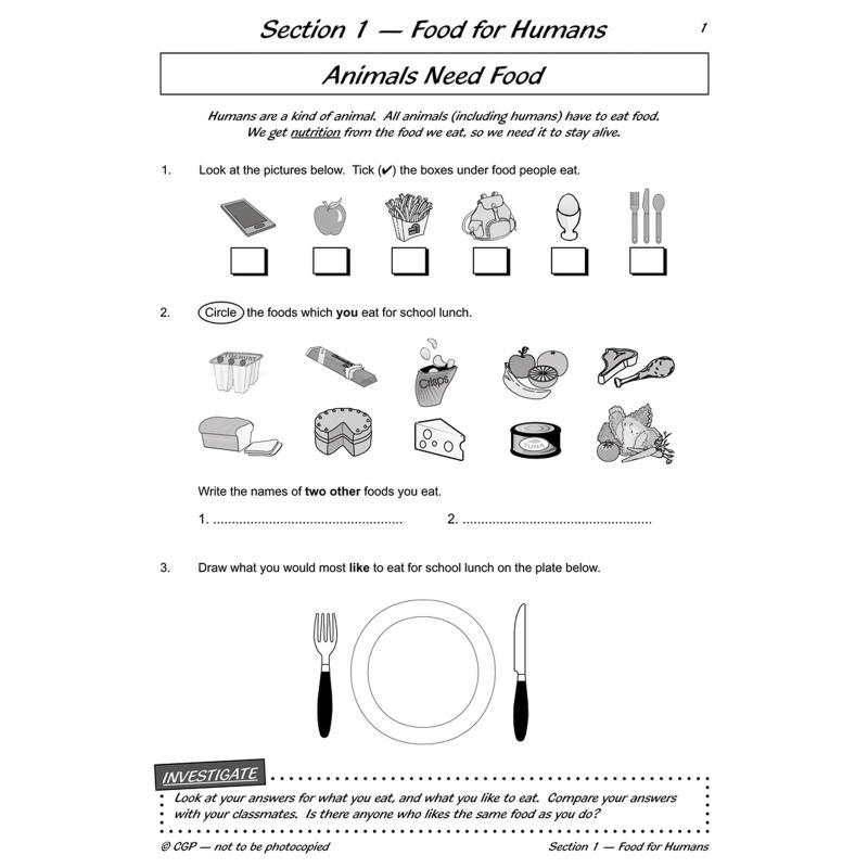 KS2 Science Year Three Workout - Nutrition Workout avis et prix