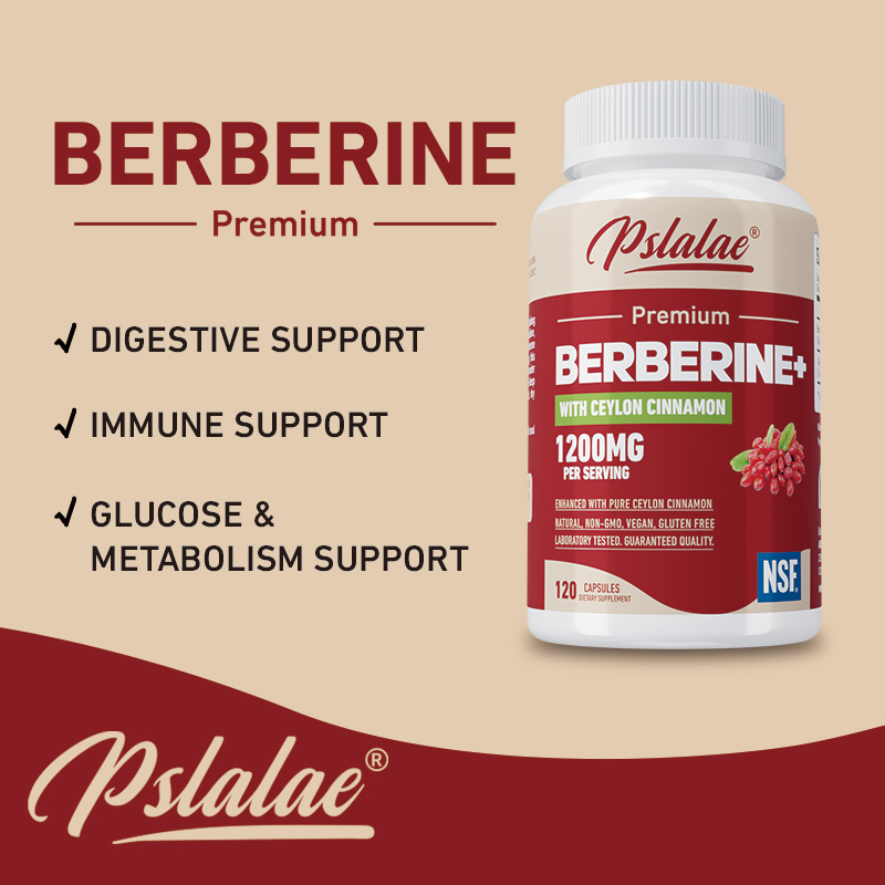 Berbérine - Antioxydant, souti - Berberine Hcl Capsule avis et prix