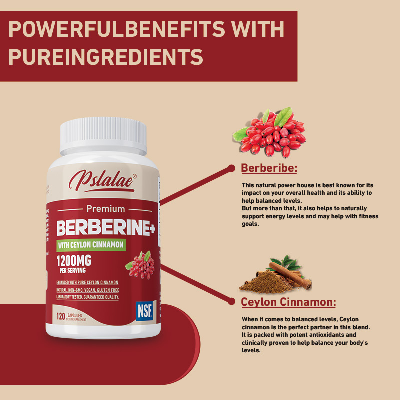 Berbérine - Antioxydant, souti - Berberine Hcl Capsule avis et prix
